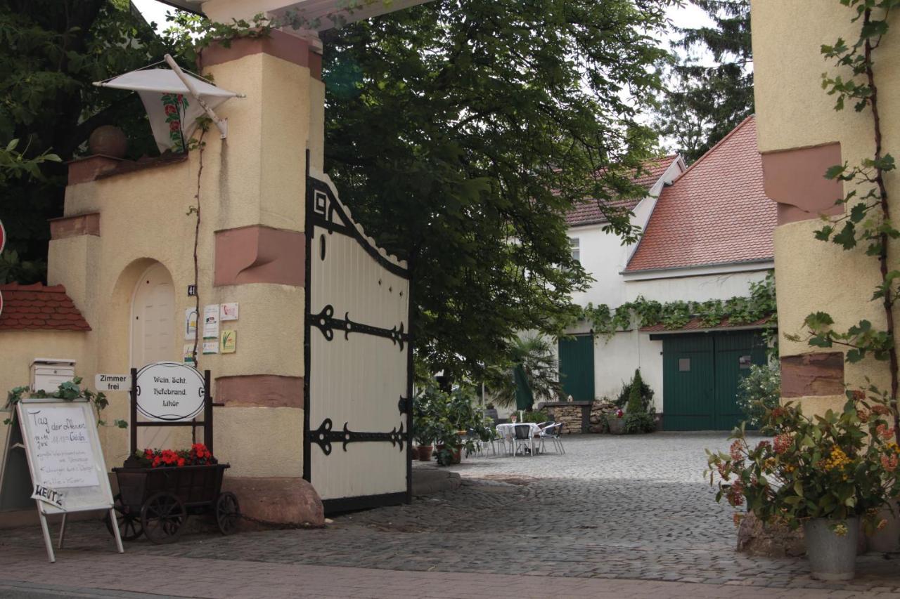 Bio-Weingut, Gästehaus und Kräuterhof Flomborn Exterior foto